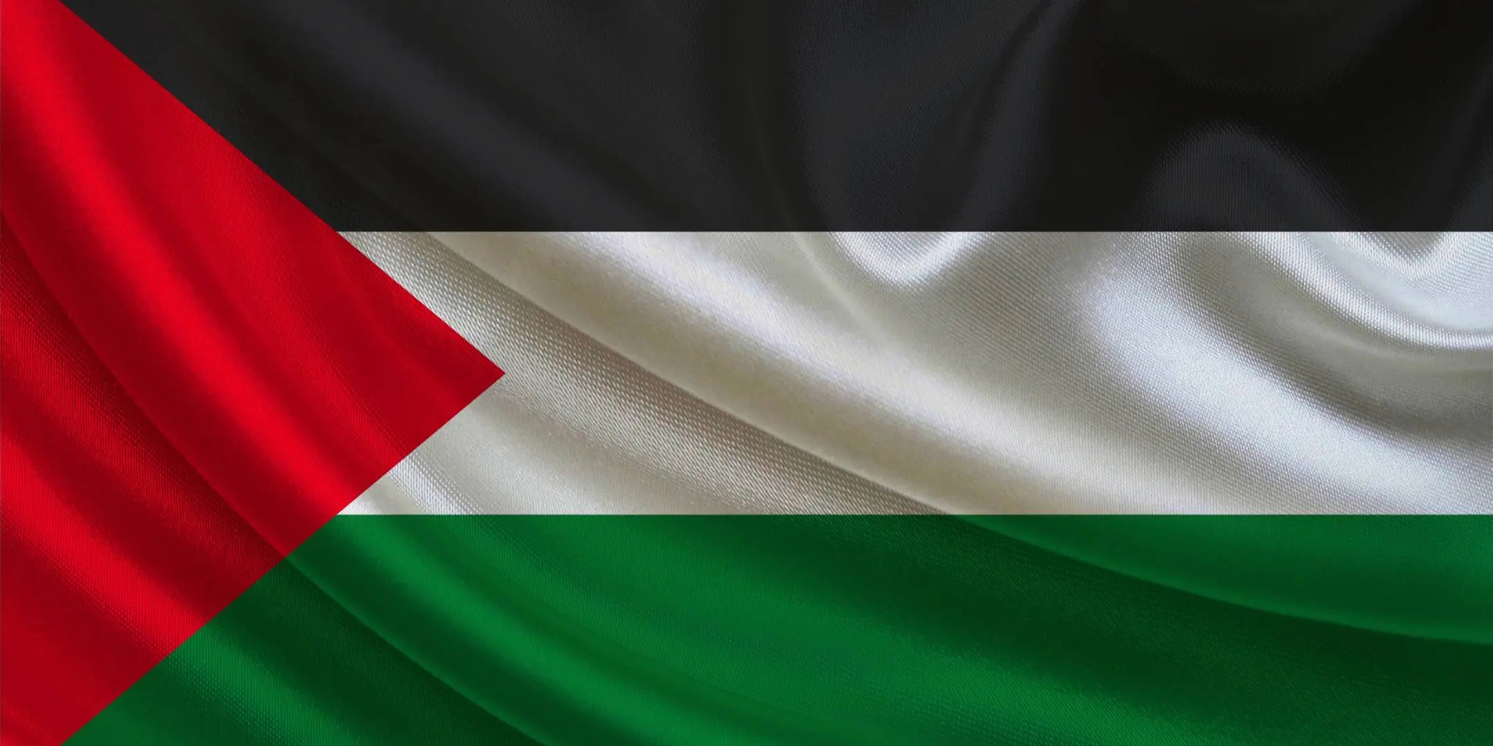 Palestine Drinks – cola, energidryck och läsk i Sverige Butikkom